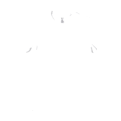 50/50 Ringer T-Shirt in White/Black